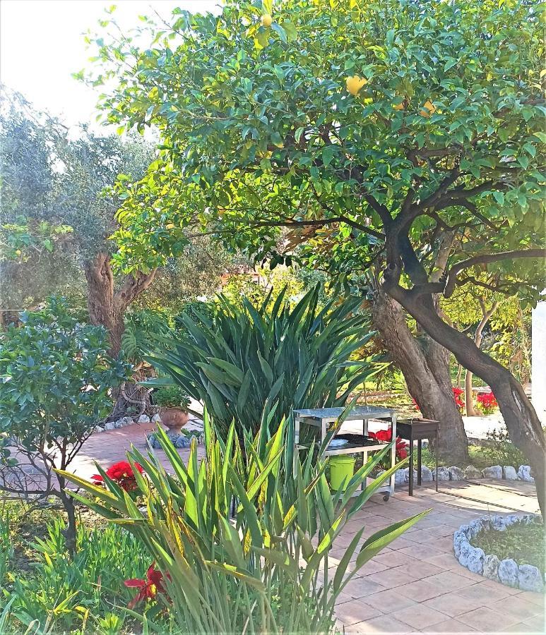 Seafront Apartments Garden House Taormina Exteriér fotografie