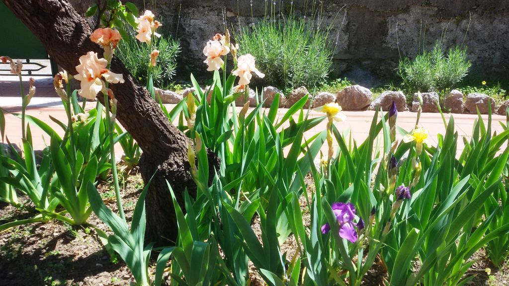 Seafront Apartments Garden House Taormina Pokoj fotografie